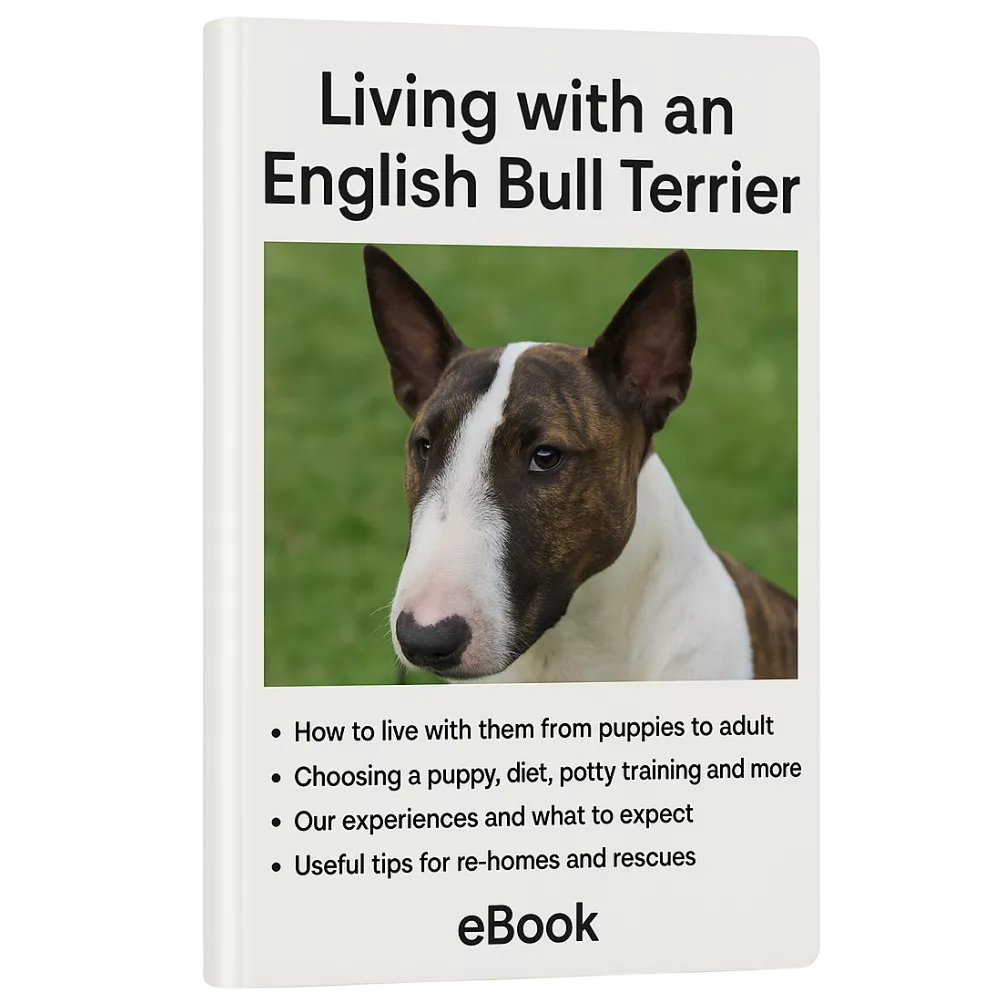 The English Bull Terrier Companion Guide